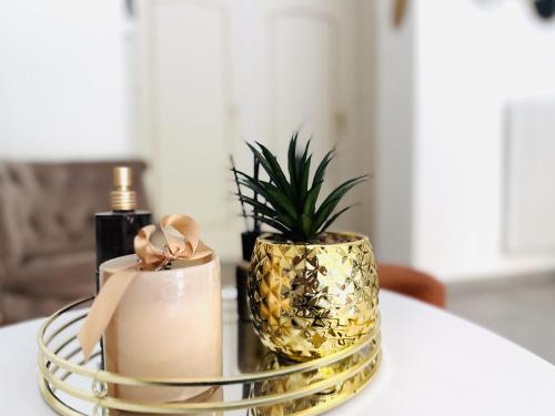 Le Cirodde Grande terrasse Centre Cannes Clim in Cannes, France