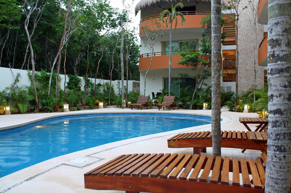 Moon Forest - carbon neutral hotel in Tulum
