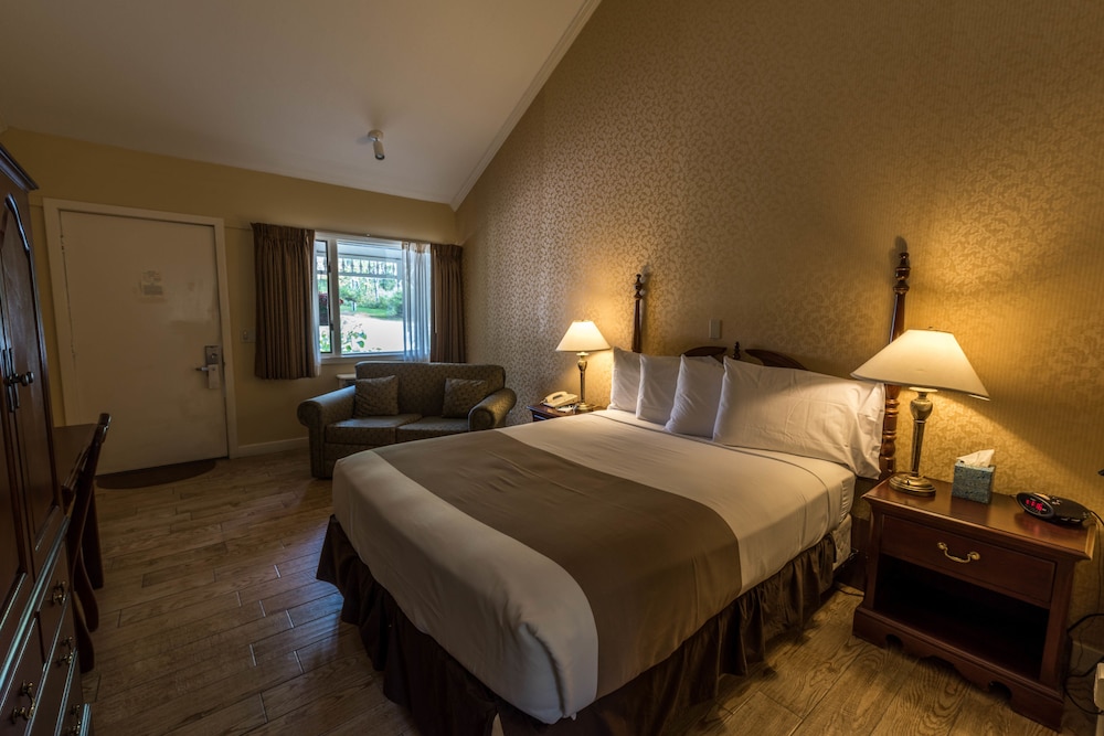 Interlaken Inn & Resort - photo 14