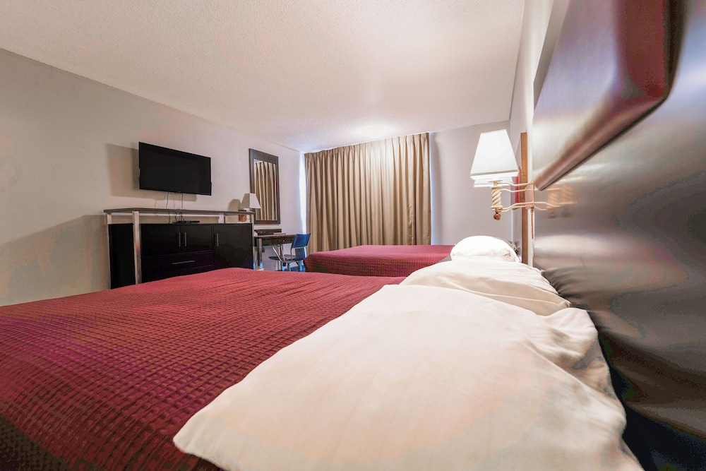 Royal Plaza Inn Indio - photo 42