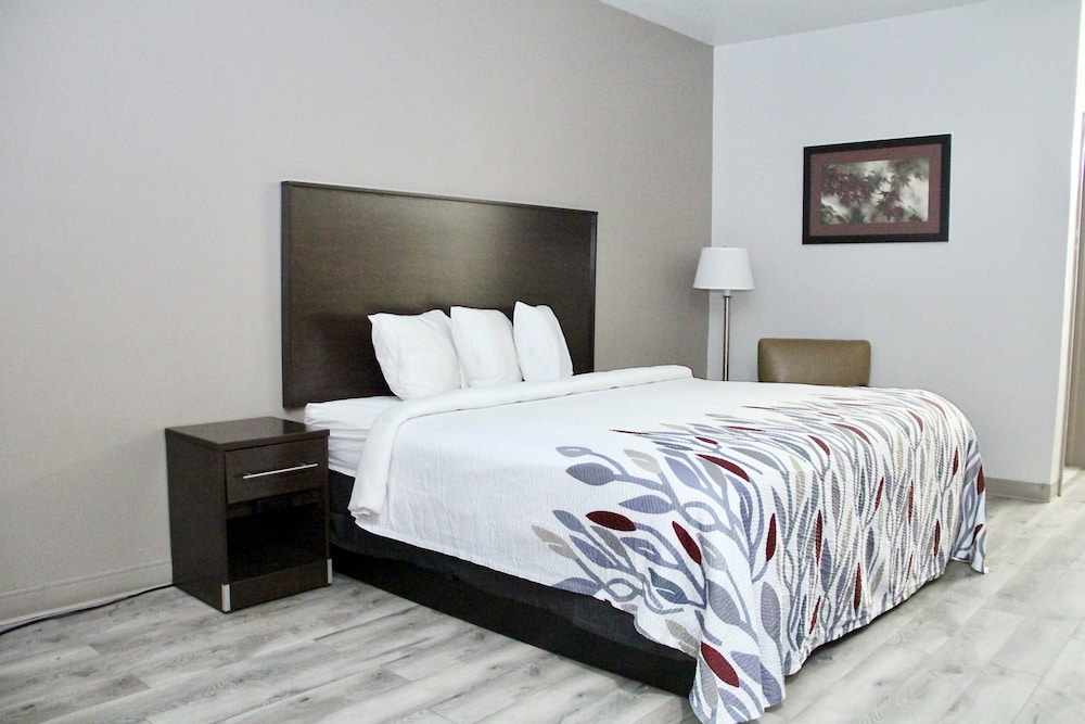 Red Roof Inn & Suites Lake Orion Auburn Hills - photo 5