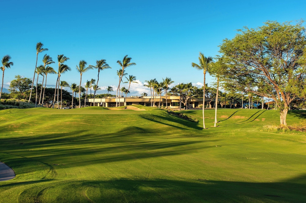 The Westin Hapuna Beach Resort - photo 87