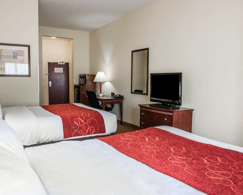 Comfort Suites near Indianapolis Airport - photo 27