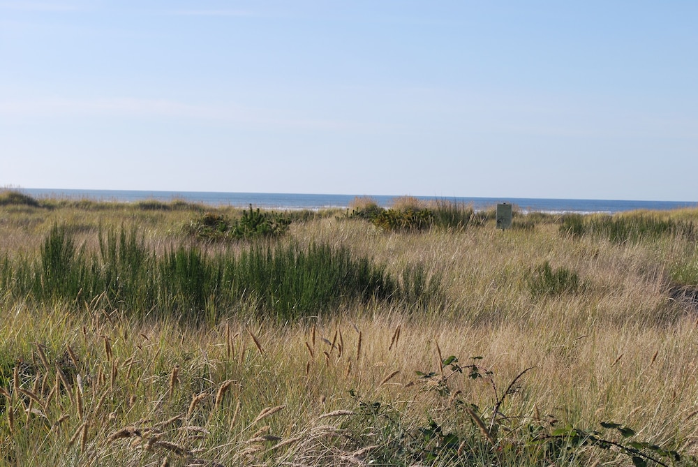 Inn at the Shore - photo 93