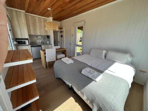 El Campito Tiny House de lujo — Rodeo — photo 5