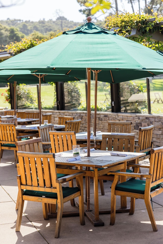 The Quail - photo 70