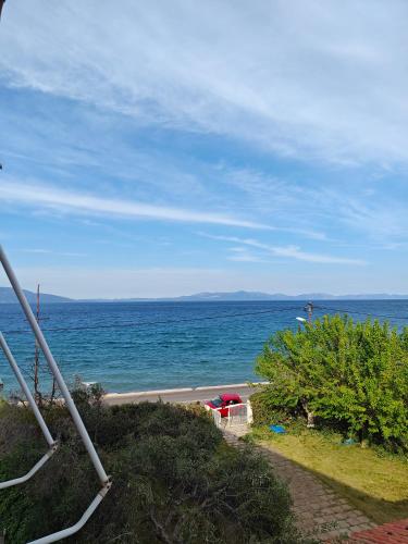 Thanos’ seaside apartment — Oropos — photo 5