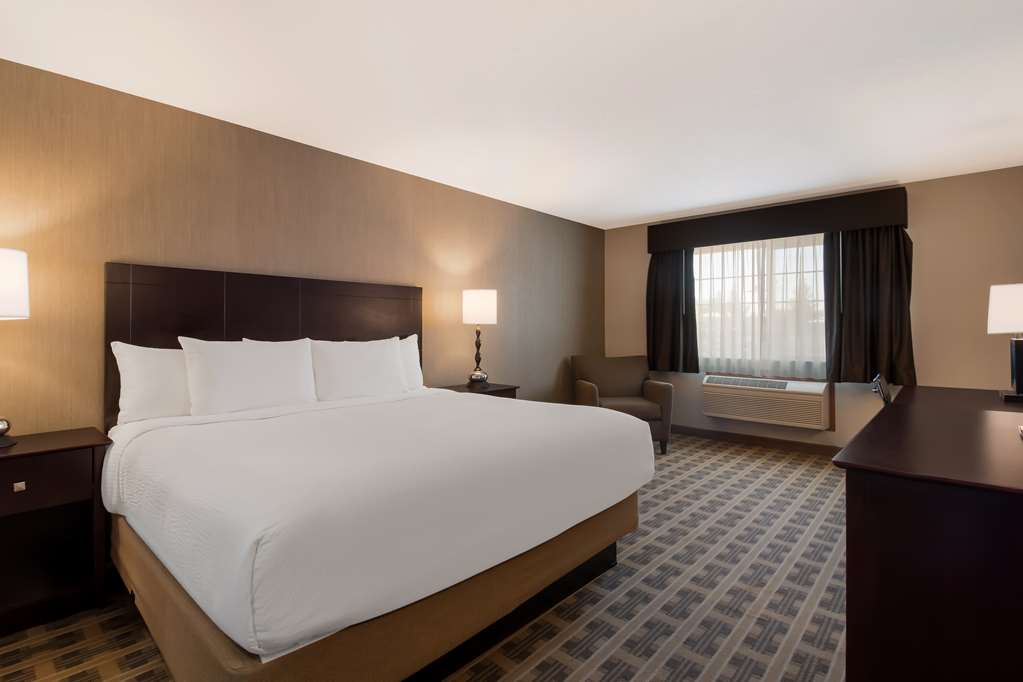 Best Western University Inn & Suites - photo 17