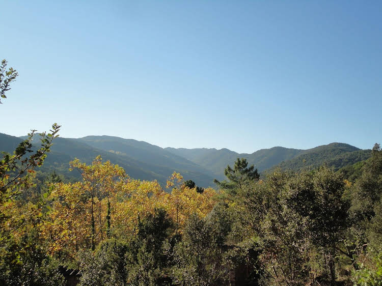 Mas Campolier — Sant Ferriol — photo 3