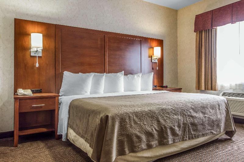 Quality Inn San Jose Downtown - photo 19