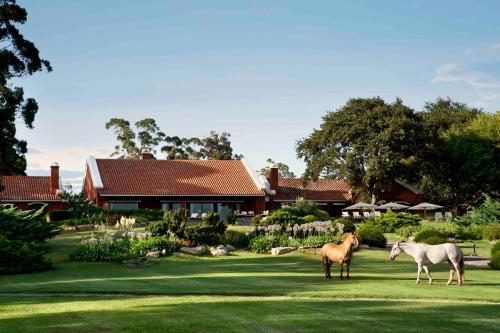 Estancia La Estrella in Tandil, Argentina