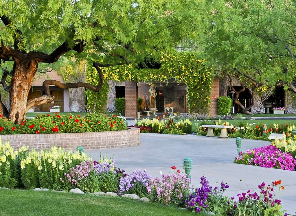Ventana Canyon Club and Lodge - photo 7