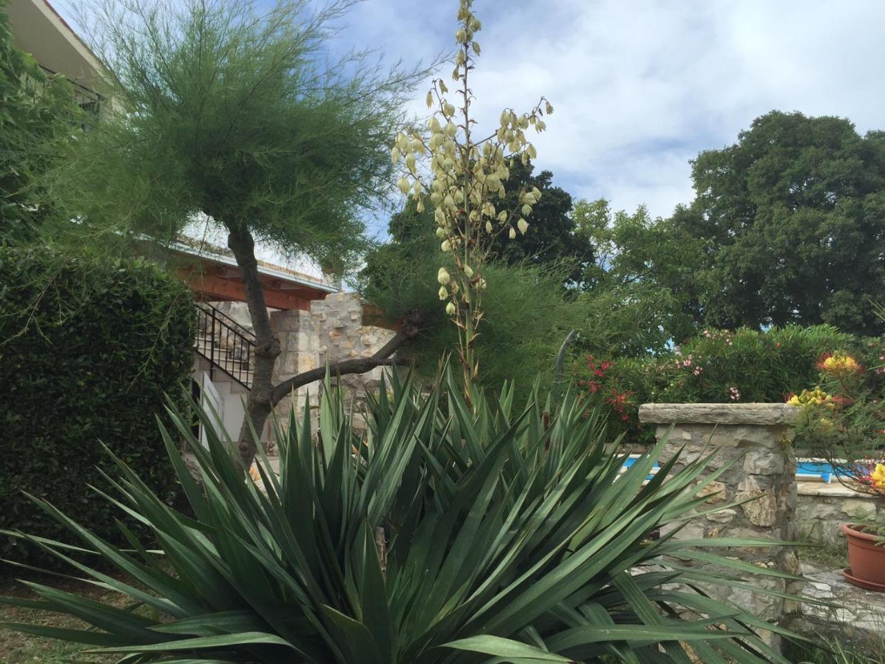 Stancieta Ulrihi in Vrsar, Croatia