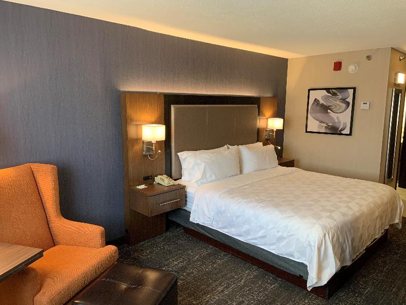 Holiday Inn & Suites Chicago Carol Stream by IHG - photo 61
