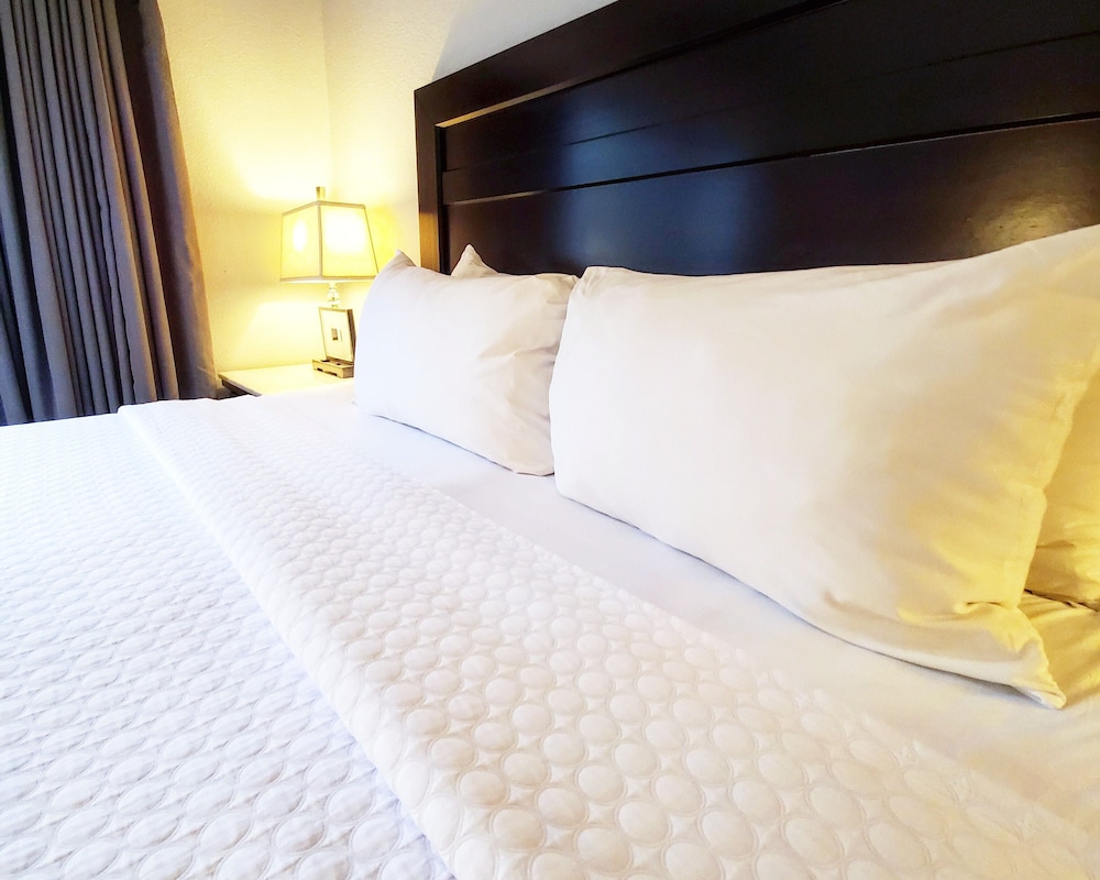 Crowne Plaza Milwaukee Airport by IHG - photo 9