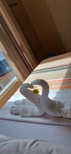 Haylli Café Oro Hotel in Santa Teresa, Peru