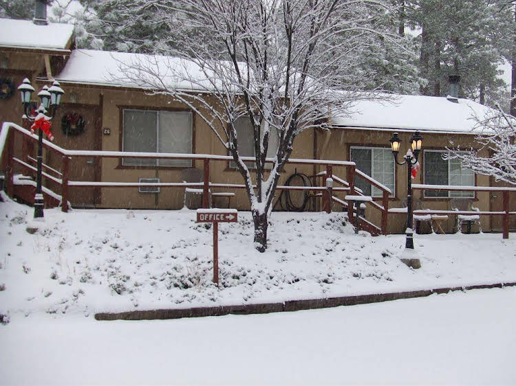 Pine Woods Resort - photo 10