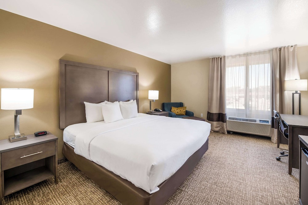Comfort Inn Bossier City Casino Area near Shreveport Downtown - photo 8