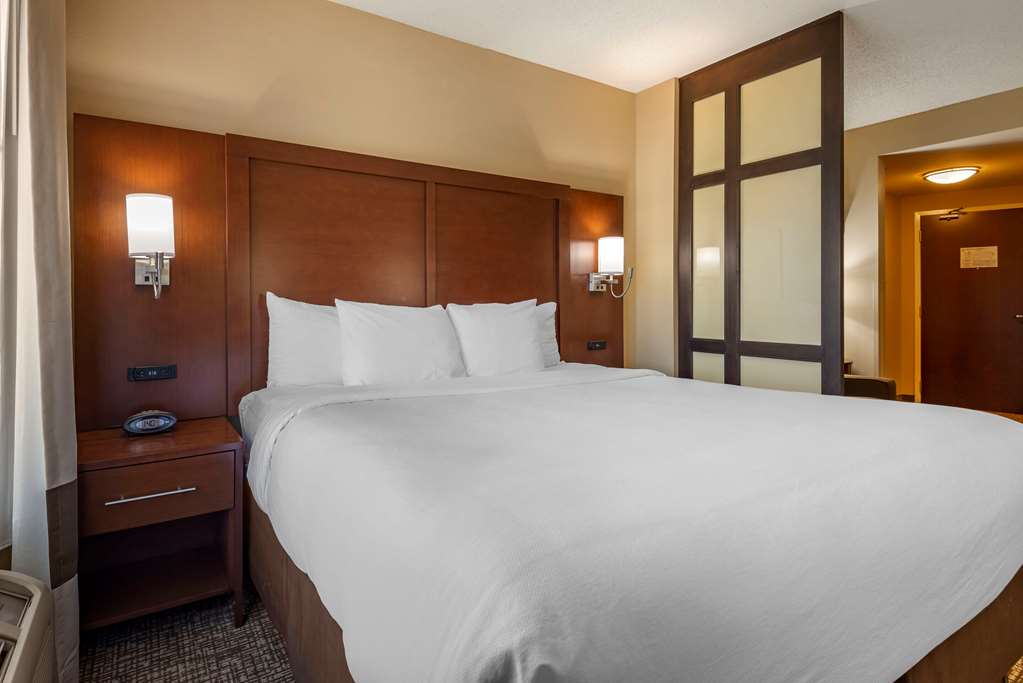 Comfort Suites Huntersville near Lake Norman - photo 36
