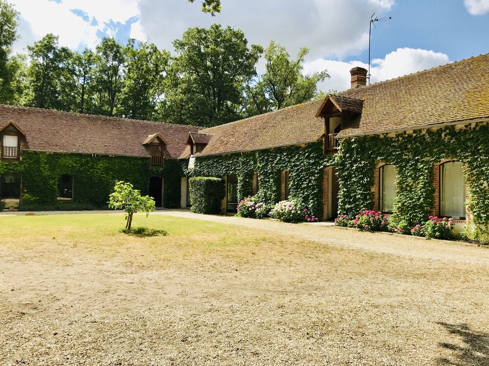 Adas Dag Evi Restoran — Borcka