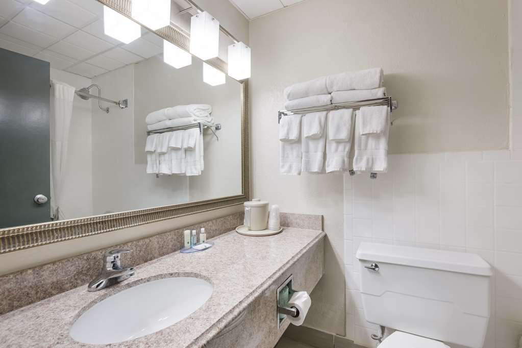 Clarion Hotel & Convention Center Joliet - photo 17