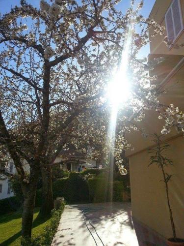 Hotel do Cerrado in Lamego, Portugal