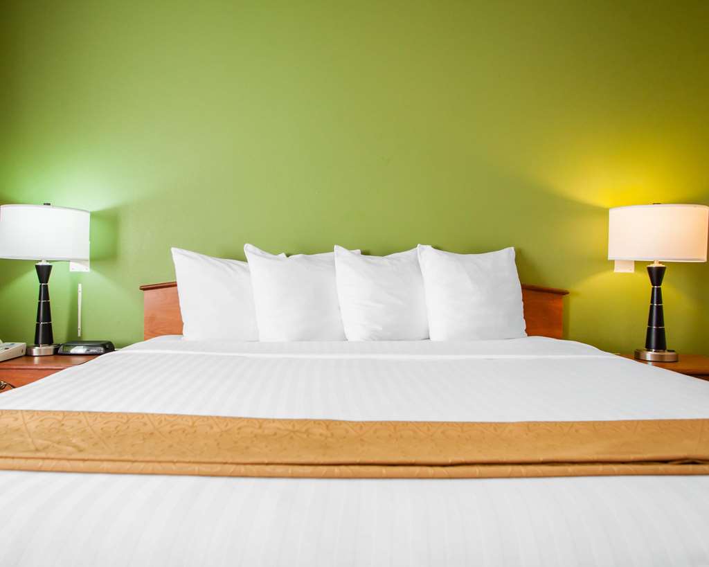 Quality Inn Bolingbrook I 55 - photo 9