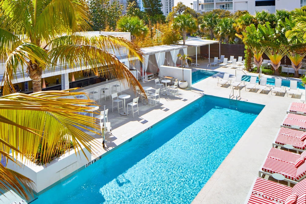 The Sarasota Modern a Tribute Portfolio Hotel - photo 44