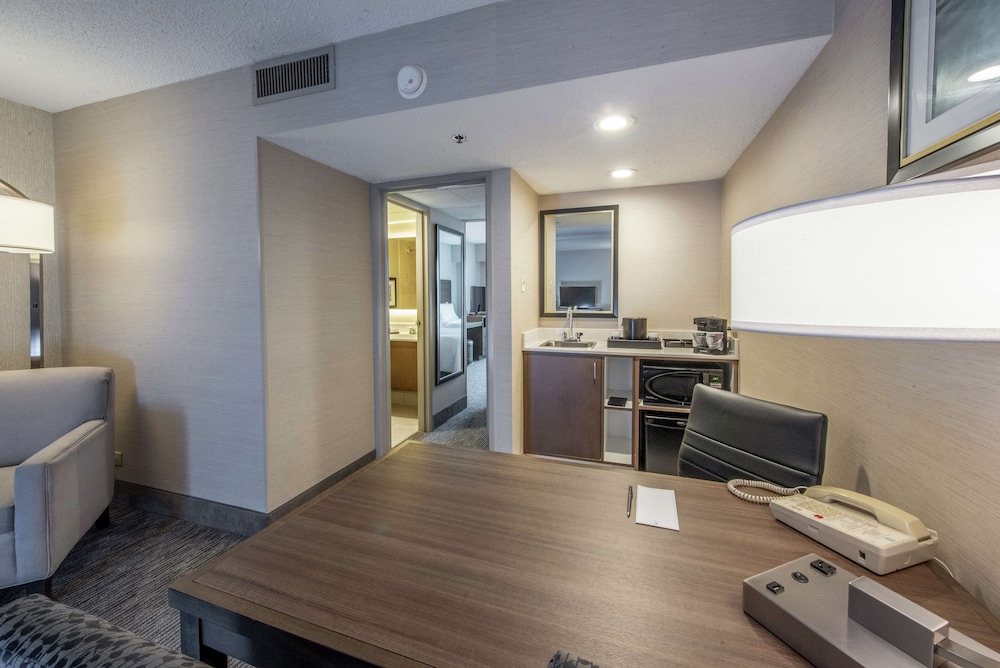 Embassy Suites by Hilton Chicago Schaumburg Woodfield - photo 13