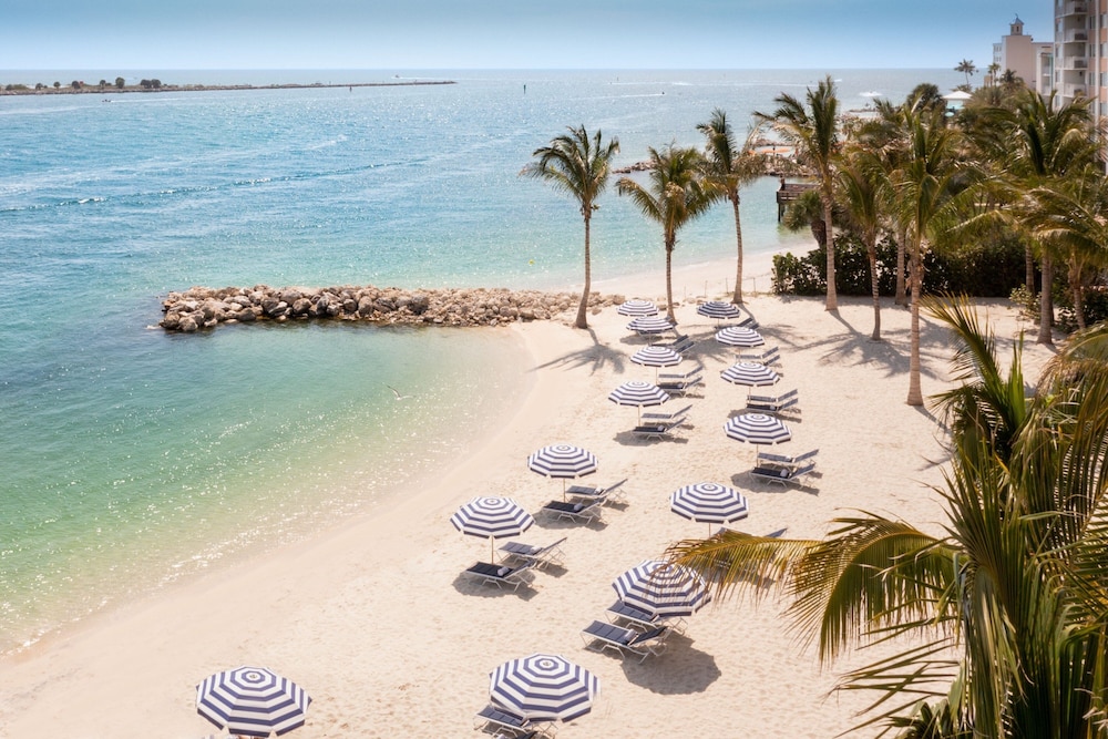 JW Marriott Clearwater Beach Resort & Spa - photo 81