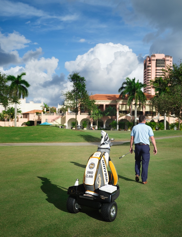 Tower at The Boca Raton - photo 62