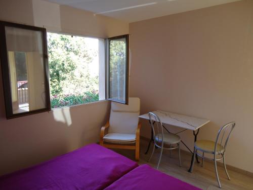 Delaporte — Beziers — photo 4