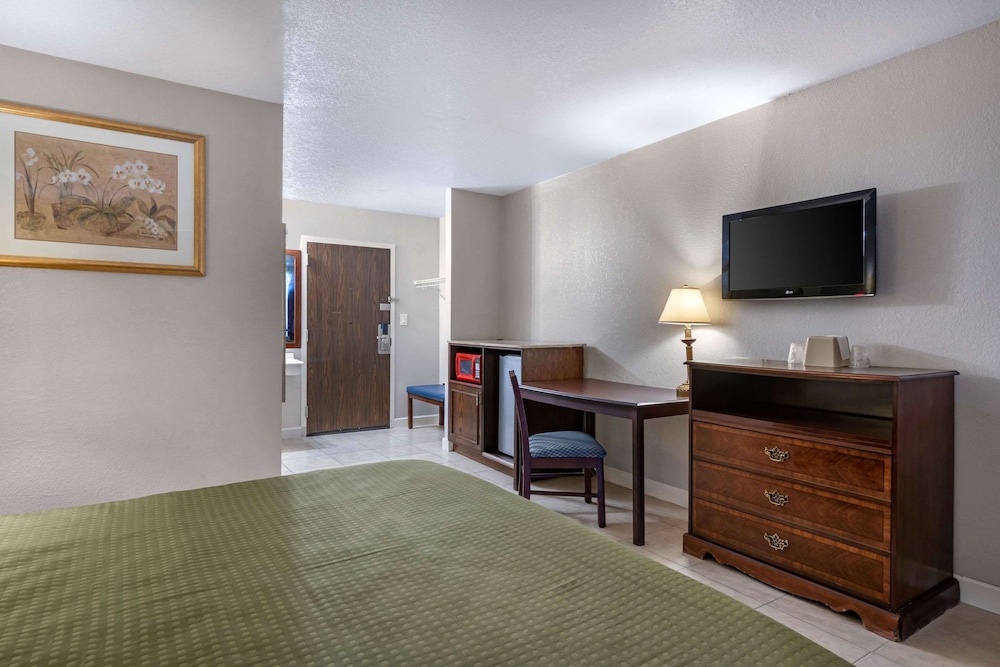 Rodeway Inn Clermont - photo 9
