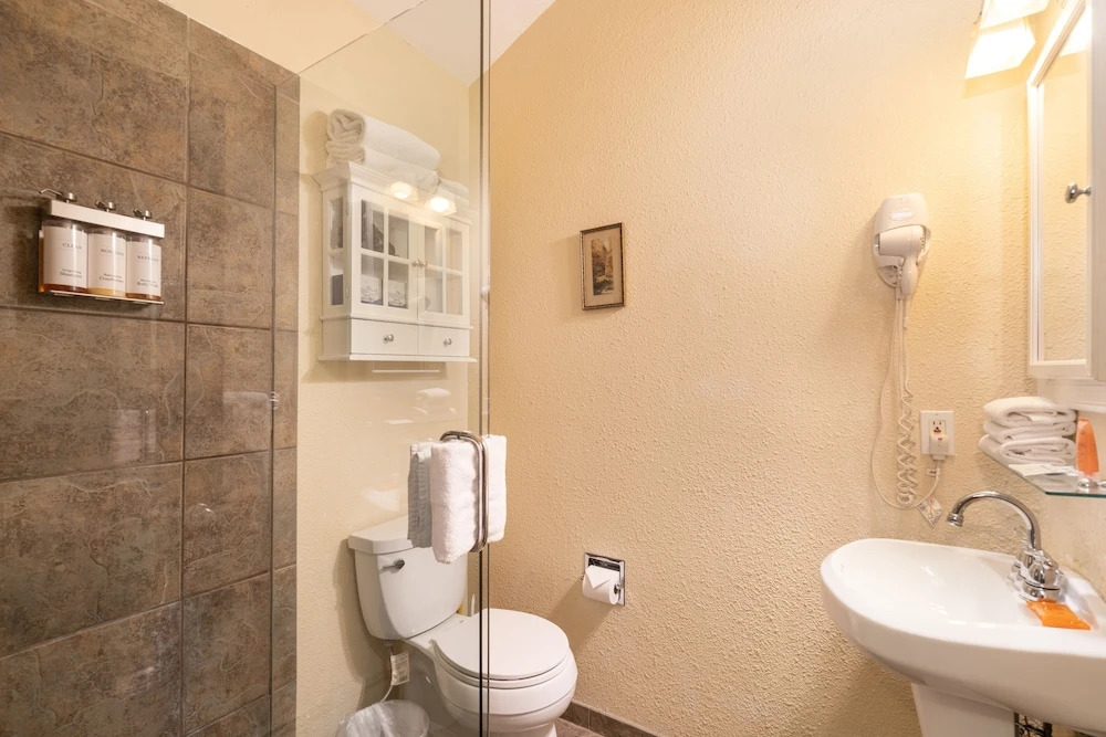 Manitou Lodge 6 Hotel Room by Alpine Lodging Telluride - photo 7