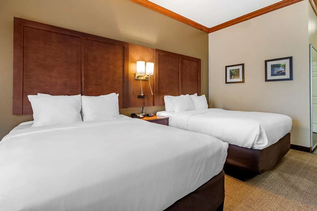 Comfort Inn & Suites Statesboro University Area - photo 9