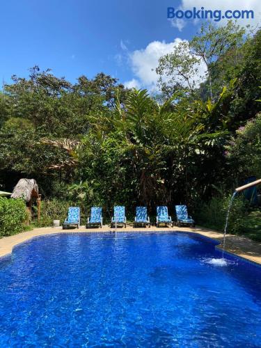Hotel El Abrazo del Arbol in Unknown City, Ecuador