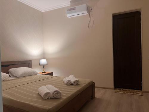 Hotel Sataplia