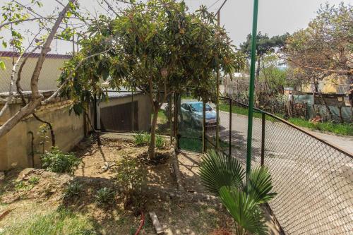 Apartment Gardens 44