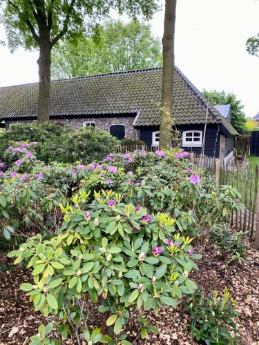 Antoniushofke - carbon neutral hotel in Asten