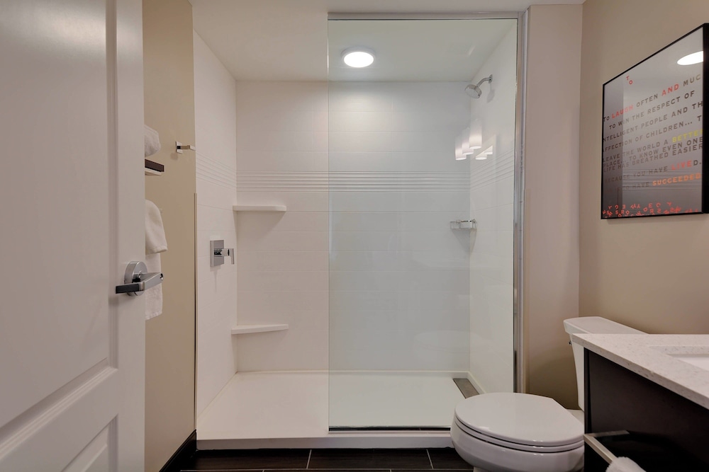 TownePlace Suites by Marriott Detroit Allen Park - photo 27