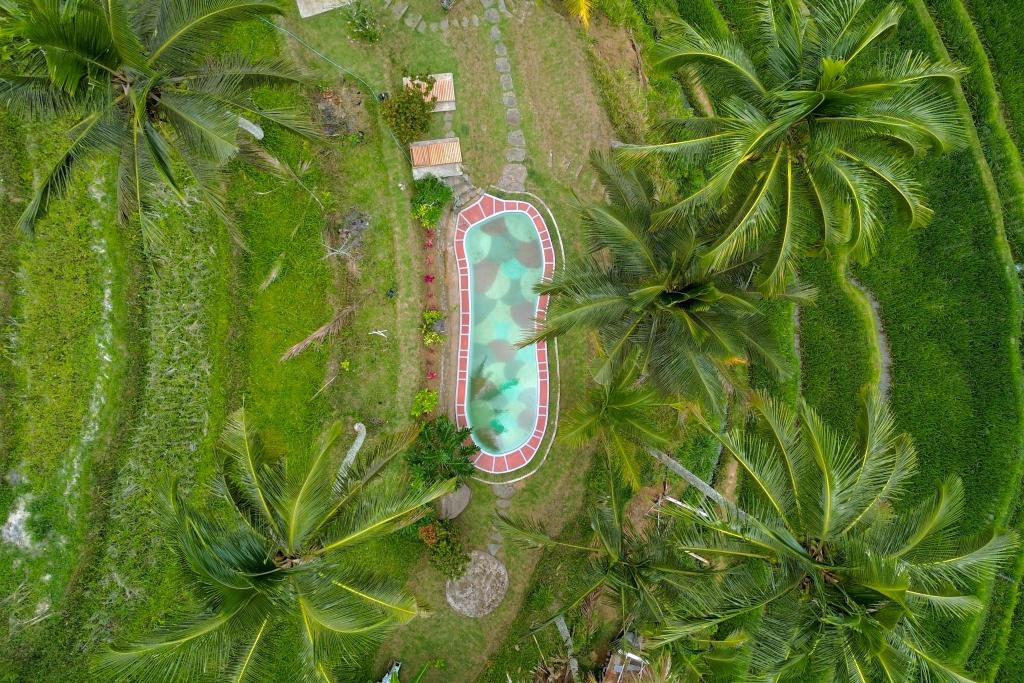 Pesona Bali Ecolodge by AGATA
