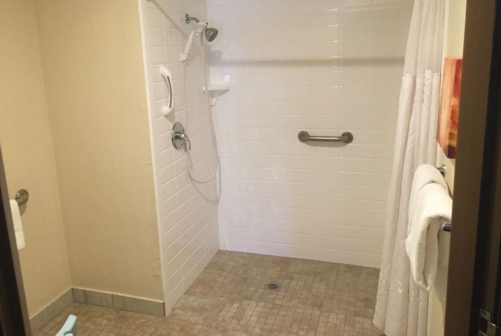 Baymont by Wyndham Chicago Alsip - photo 9