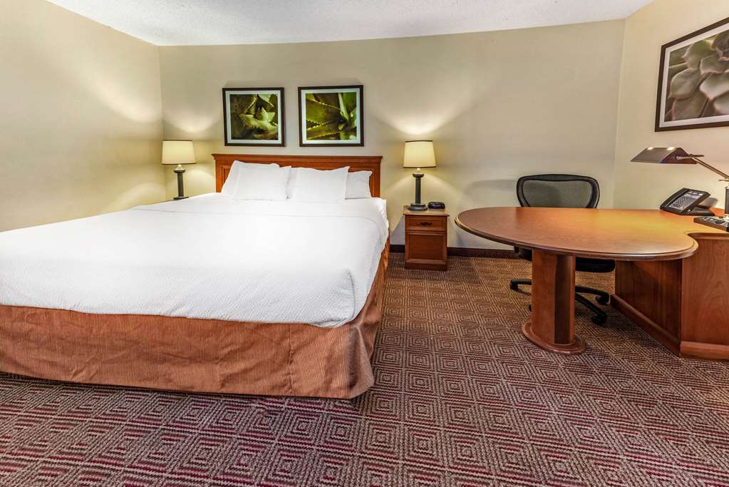 La Quinta Inn & Suites by Wyndham Tampa Brandon West - photo 35