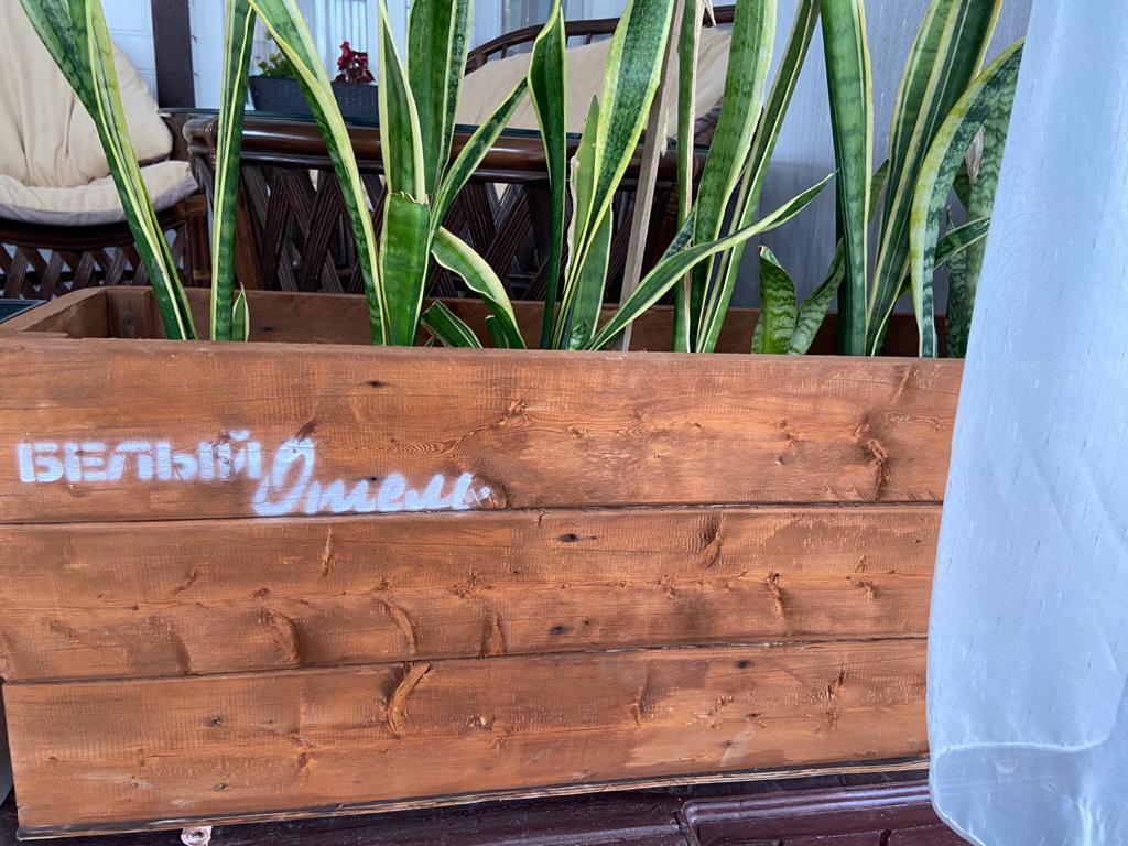 Hotel Belyij in Kuchugury, Russia