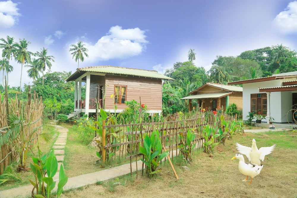 Gami Sewana in Mirissa City, Sri Lanka