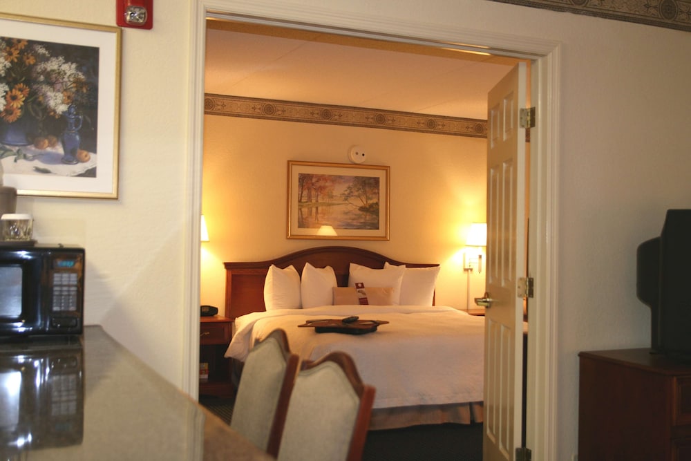 Hampton Inn & Suites Atlanta Galleria - photo 6