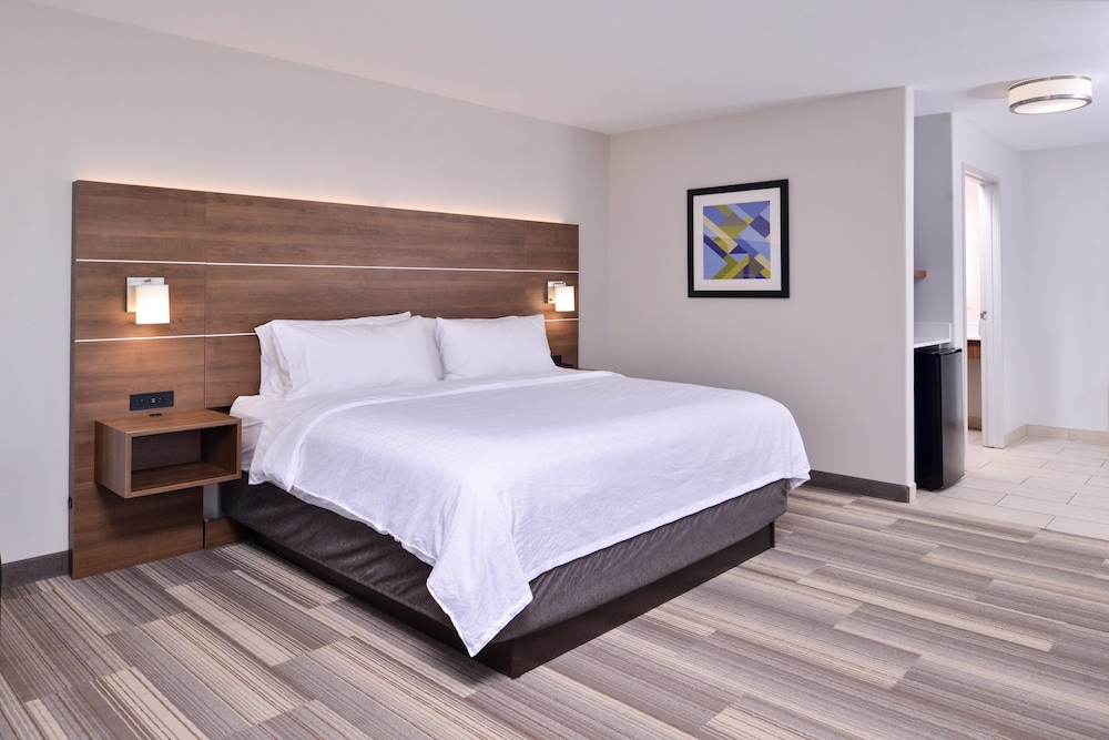 Holiday Inn Express Hotel & Suites Elgin by IHG - photo 11