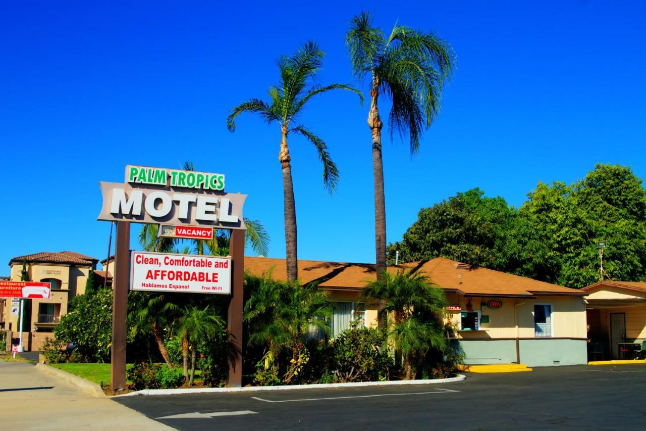 Palm Tropics Motel - featured photo