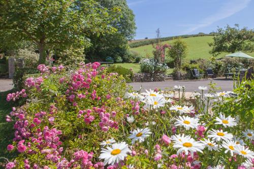 Lanjew Park — Bodmin — photo 4