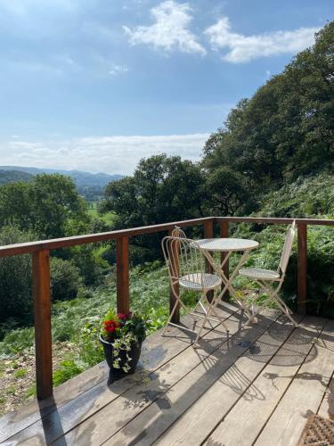 Hillside Hideaway Hendre Aur Pod — hotel in Machynlleth
